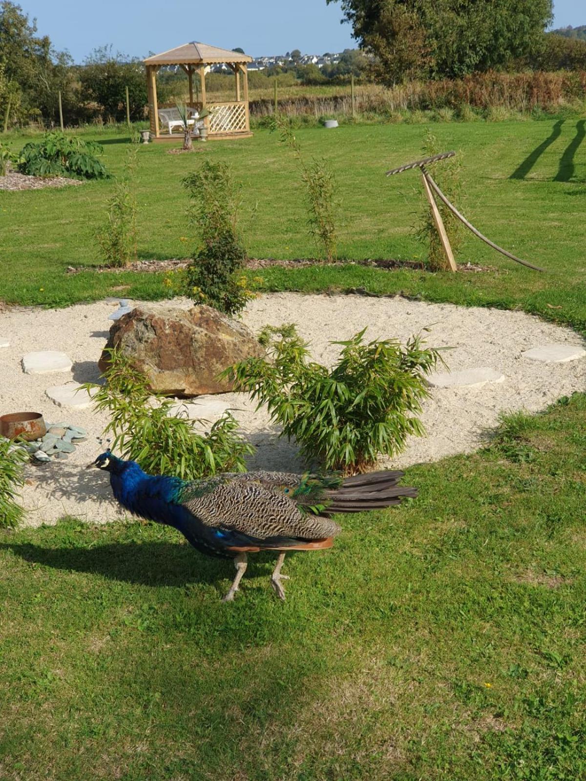 مبيت وإفطار Plestin-les-Grèves La Ferme De Lec'H Hameury المظهر الخارجي الصورة
